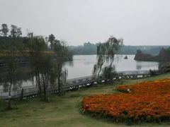 -白鹭湾湿地公园