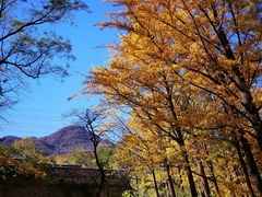 -阳台山自然风景区