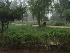 -秦皇岛野生动物园