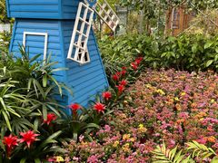 -南宫五洲植物乐园