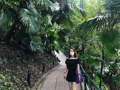 -香港大学