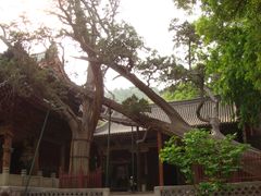 -晋祠公园