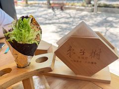 -枣子树·素食餐厅(普陀山店)
