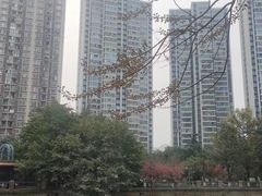 -成都市活水公园