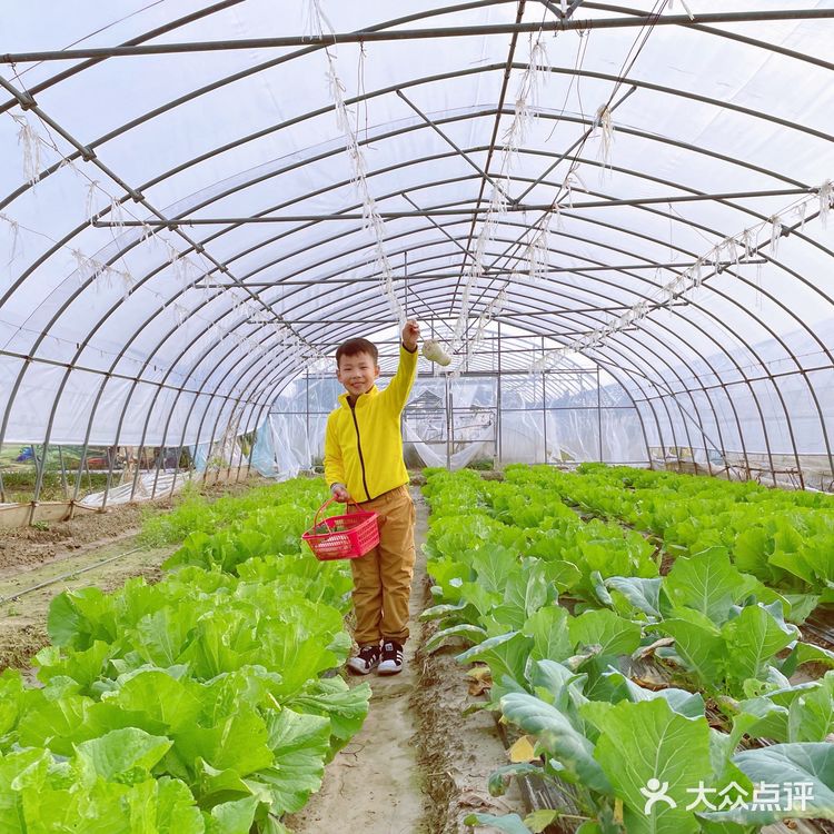 体验农家生活日常·龙余农场🐔🦆🥚🐟🥬