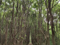 -同里国家湿地公园