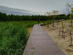 -东郊湿地公园