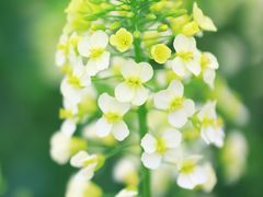 -中国天府农业博览园