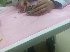-北京观赏动物医院·24小时大型综合·猫专科·异宠专科