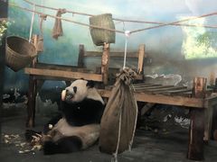 -无锡动物园·太湖欢乐园