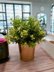 -Z.X HAIR SALON张新美业