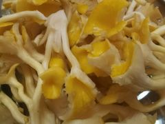 -楠波炭炉鸡煲馆(桥北店)