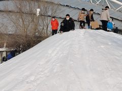 -沈阳奥体冰雪嘉年华