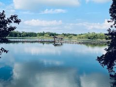 -溱湖国家湿地公园