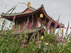-西安曲江寒窑遗址公园