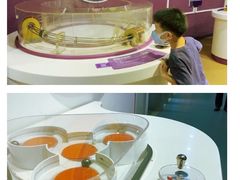 -陕西科学技术馆