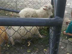 -长白岛森林公园