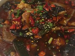 -茅庐毛血旺(烟台大悦城店)