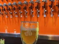 -TOKTOK精酿啤酒·咖啡(荔枝湾店)