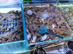 -聚盛源蒸汽海鲜火锅烤肉自助(巨川金海岸购物广场店)