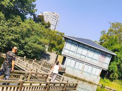 -水绘园