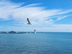 -青海湖仙女湾景区