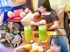 -more than meow吴止猫主题餐厅(承德 中船汇店)