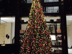 -行者书屋大堂吧 ·下午茶(南京圣和府邸酒店)