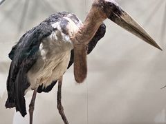 -中国湿地博物馆