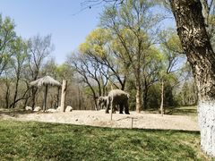 -北京野生动物园