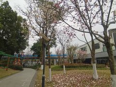 -成飞公园