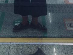 -闸弄口(地铁站)