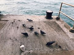 -上海姥姥(西环店)