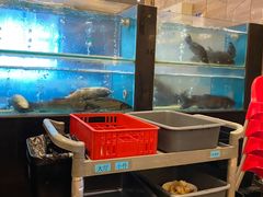 水产区-大铁勺新津菜(东丽阳光新业广场店)
