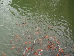 -龙寺生态园