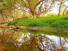 -人民公园(罗湖区)