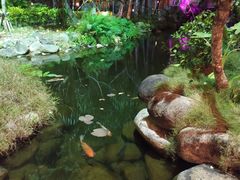 -三亚海棠湾南田温泉神龙谷