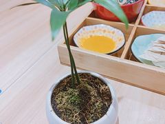 -轻蔬不用等·素食(江苏路店)