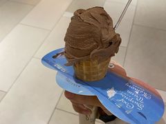 -野人先生现做冰淇淋(北京环宇荟店)