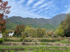-塔川景区