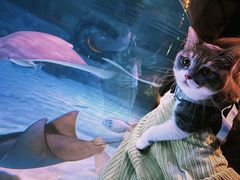 -沈阳海洋探索中心