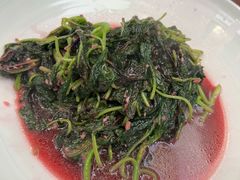 -丁老爷子苏香圆
