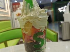 -Salud撒露欧洲冻酸奶(五道口购物中心店)