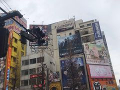-秋叶原电器街