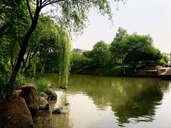 -西溪国家湿地公园