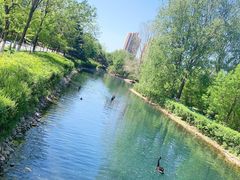 -长白岛森林公园