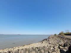 -上海滨江森林公园