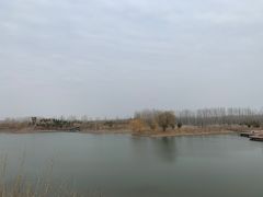 -东郊湿地公园