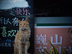 -巍山古城
