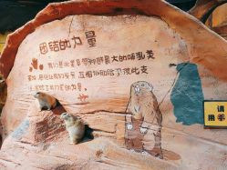 点击看大图 -奇幻萌宠部落(映月湖环宇城店)